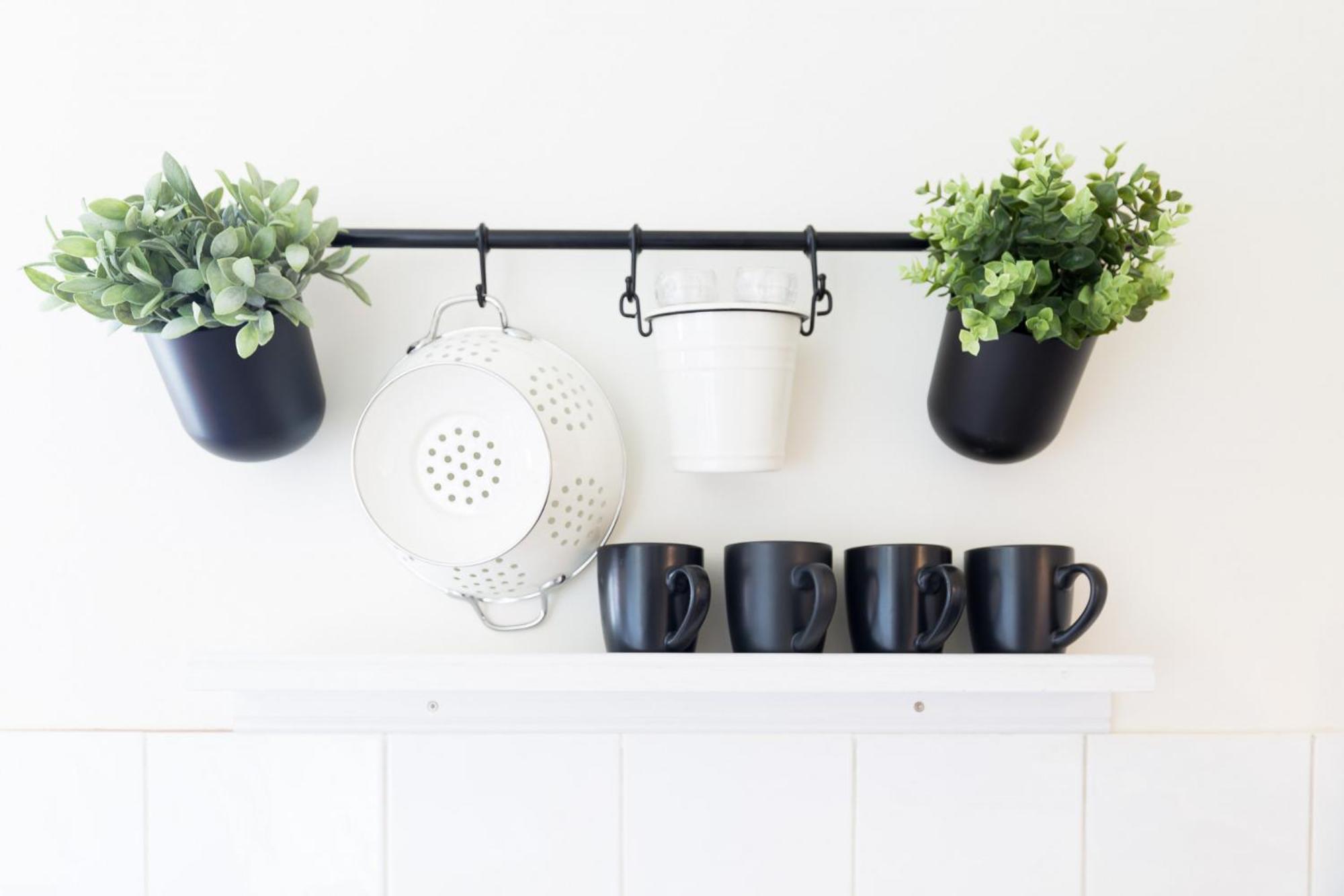 Live In The Heart Of Surry Hills - Walk To City * Sydney